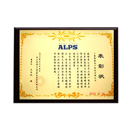 2010優(yōu)秀代理商